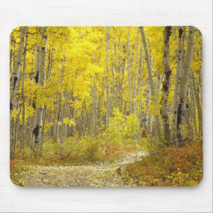 Road with autumn colours and aspens in Kebler 2 Mouse Pad