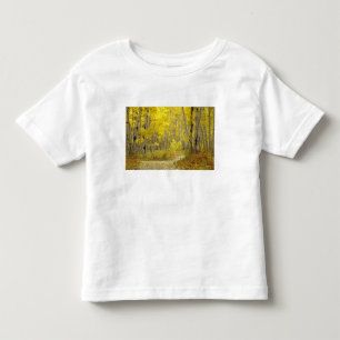 Road with autumn colours and aspens in Kebler 2 Toddler T-Shirt