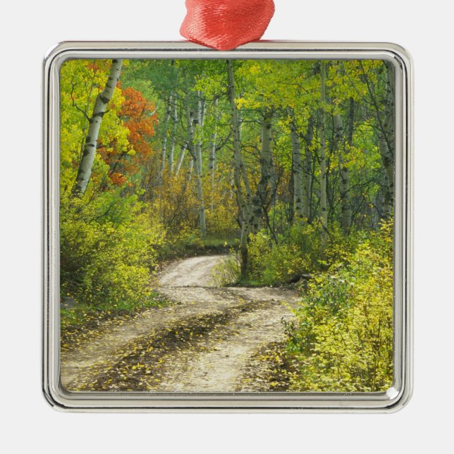 Road with autumn colours and aspens in Kebler Metal Tree Decoration (Front)
