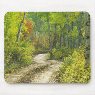 Road with autumn colours and aspens in Kebler Mouse Pad