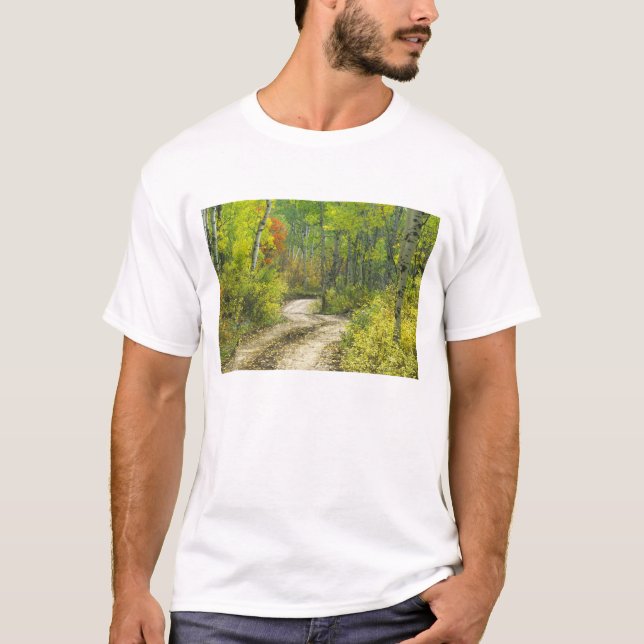 Road with autumn colours and aspens in Kebler T-Shirt (Front)