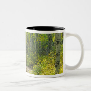 Road with autumn colours and aspens in Kebler Two-Tone Coffee Mug