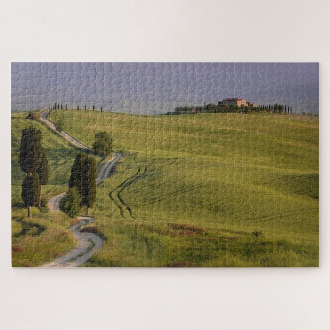 Road with cypresses to Terrapille in Tuscany Jigsaw Puzzle (Horizontal)