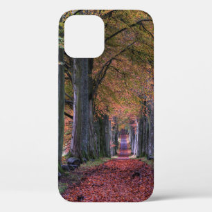 ROAD WITH FALLING LEAVES IN BETWEEN OF TREES iPhone 12 CASE