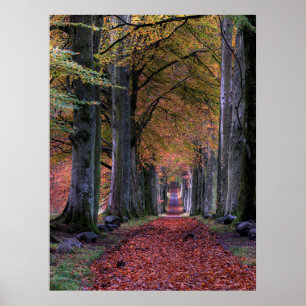 ROAD WITH FALLING LEAVES IN BETWEEN OF TREES POSTER