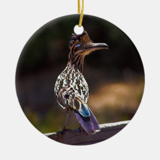 Roadrunner Ceramic Ornament (Front)