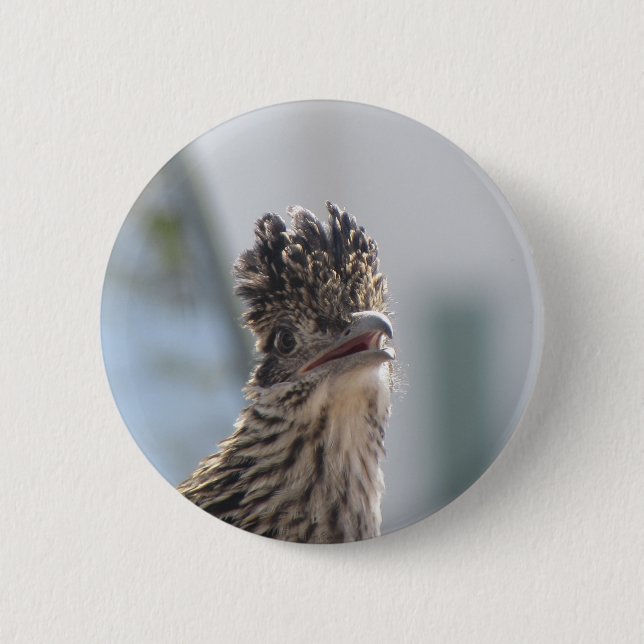 Roadrunner Close-up 6 Cm Round Badge (Front)