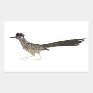 Roadrunner coloured pencil drawing rectangular sticker