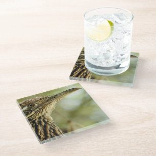 Roadrunner Glass Coaster