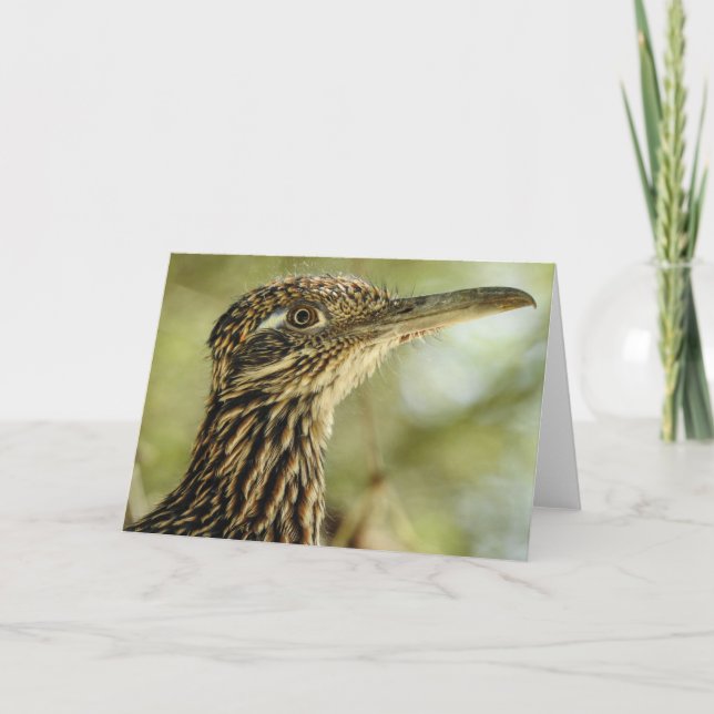 Roadrunner Notecard (Front)