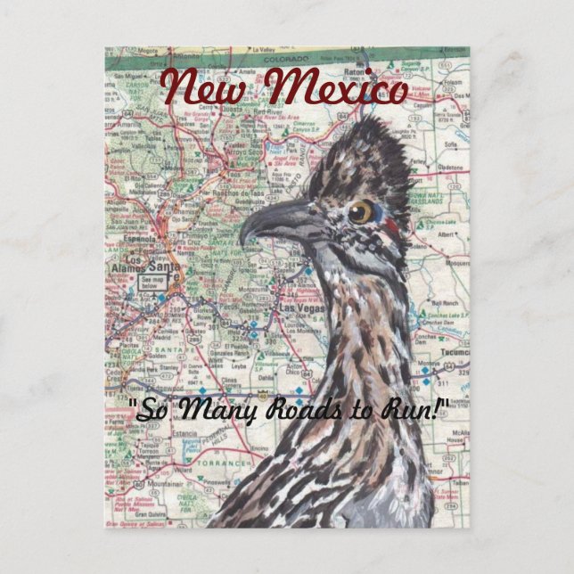 Roadrunner on Map New Mexico Postcard - Fun! (Front)