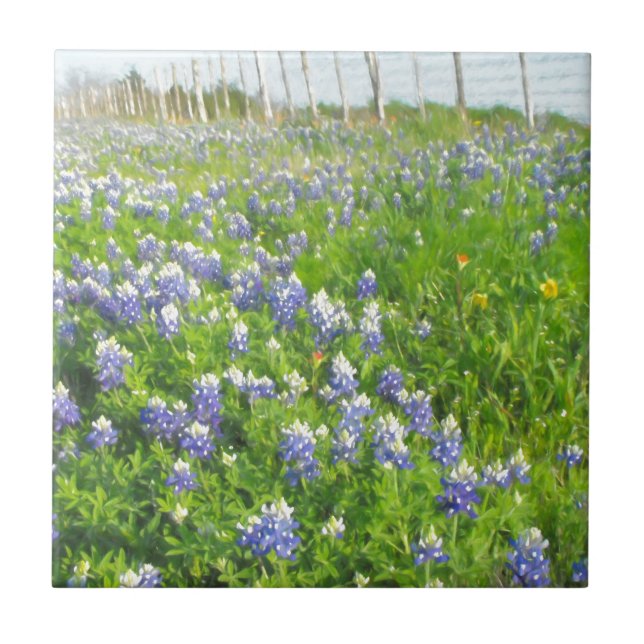 Roadside Bluebonnets Ceramic Tile (Front)