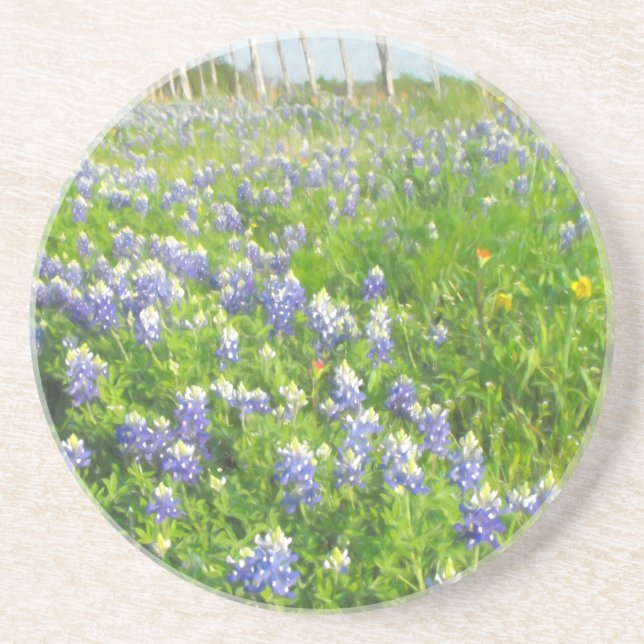 Roadside Bluebonnets Coaster (Front)