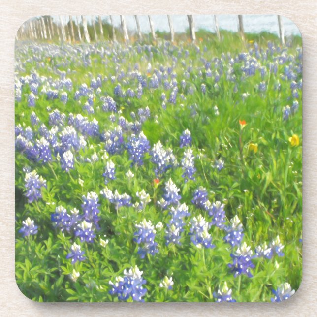 Roadside Bluebonnets Coaster (Front)