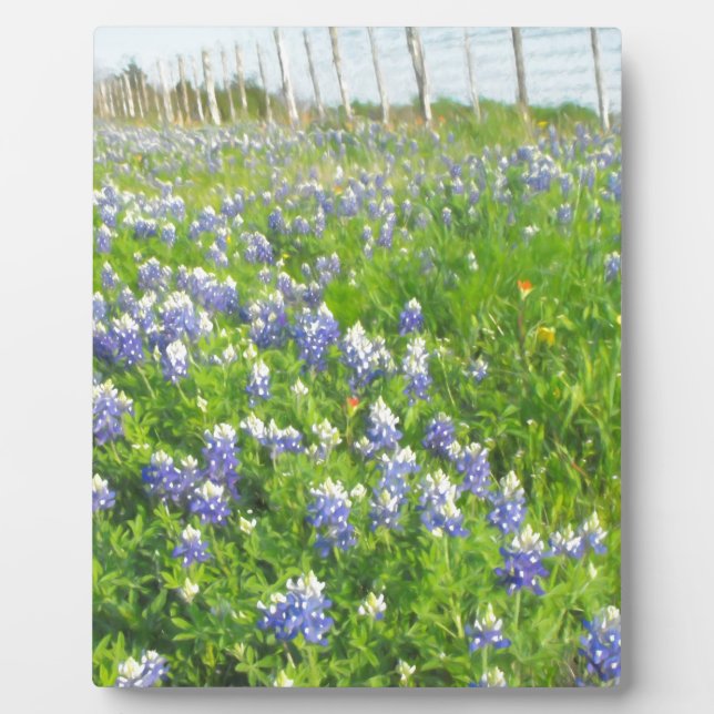 Roadside Bluebonnets Plaque (Front)