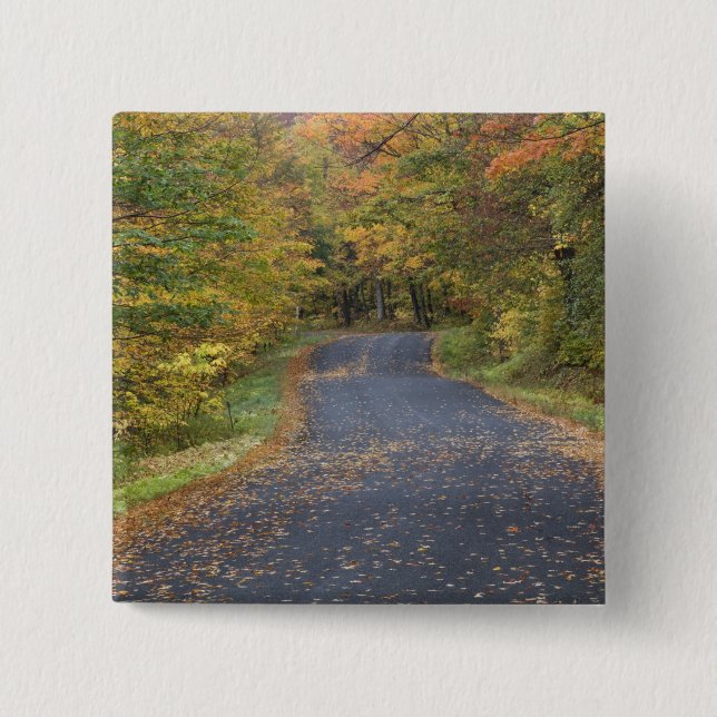 Roadside fall foliage, Southern Vermont, USA 15 Cm Square Badge (Front)