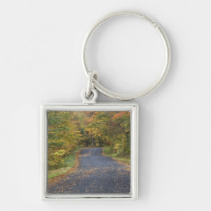 Roadside fall foliage, Southern Vermont, USA Key Ring