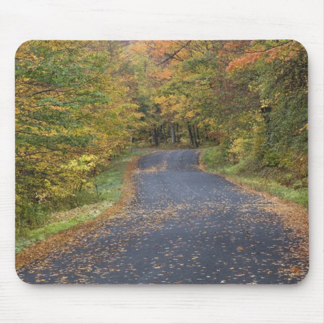 Roadside fall foliage, Southern Vermont, USA Mouse Pad (Front)