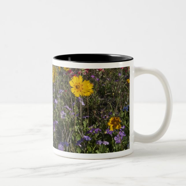 Roadside wildflowers in Texas, spring 2 Two-Tone Coffee Mug (Right)