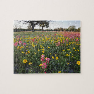 Roadside wildflowers in Texas, spring 3 Jigsaw Puzzle
