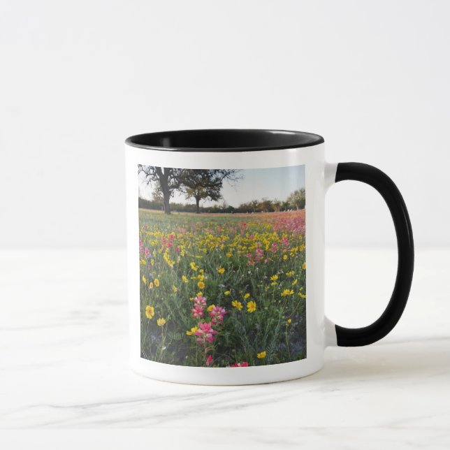 Roadside wildflowers in Texas, spring 3 Mug (Right)