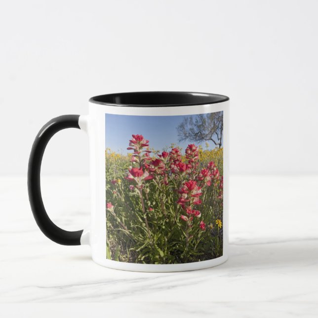 Roadside wildflowers in Texas, spring 4 Mug (Left)