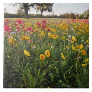 Roadside wildflowers in Texas, spring Ceramic Tile