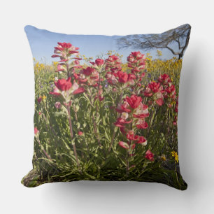 Roadside wildflowers in Texas, spring Cushion