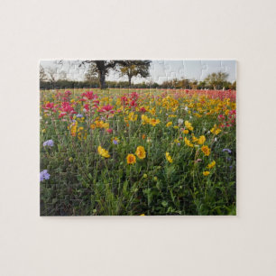 Roadside wildflowers in Texas, spring Jigsaw Puzzle