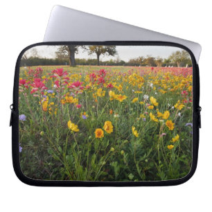 Roadside wildflowers in Texas, spring Laptop Sleeve
