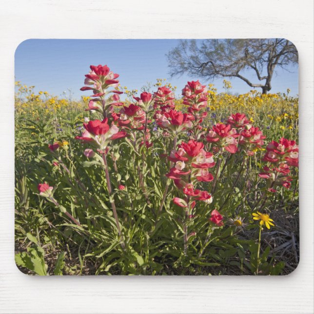 Roadside wildflowers in Texas, spring Mouse Pad (Front)