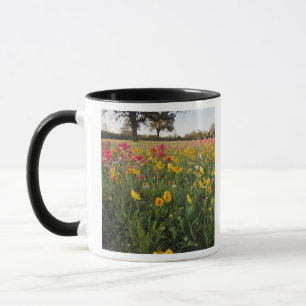 Roadside wildflowers in Texas, spring Mug