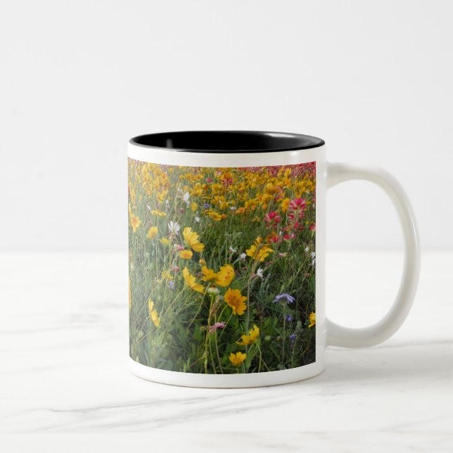 Roadside wildflowers in Texas, spring Two-Tone Coffee Mug (Right)