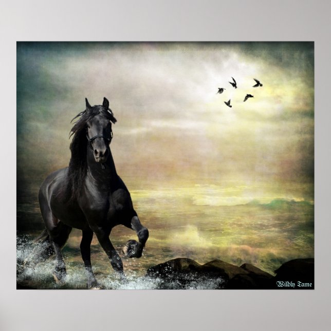 Roam the Tide Poster (Front)