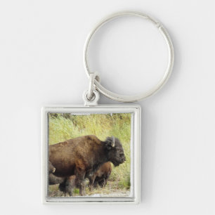 Roaming Buffalo  Keychain