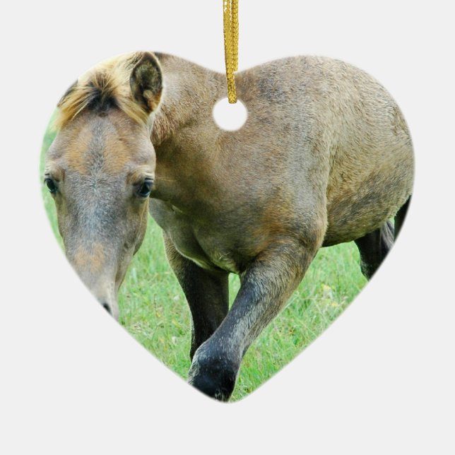 Roaming Roan Horse Ornament (Front)