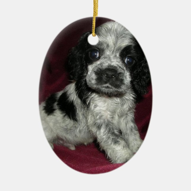 roan american cocker spaniel puppy, Apollo Ceramic Tree Decoration (Front)