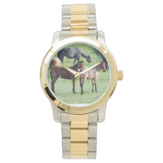 Roan Foals Watch