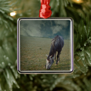Roan Horse Grazing In Paddock Metal Ornament