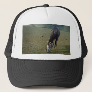 Roan Horse Grazing In Paddock, Trucker Hat