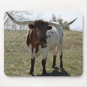 Roan Longhorn Steer- personalise if desired Mouse Pad