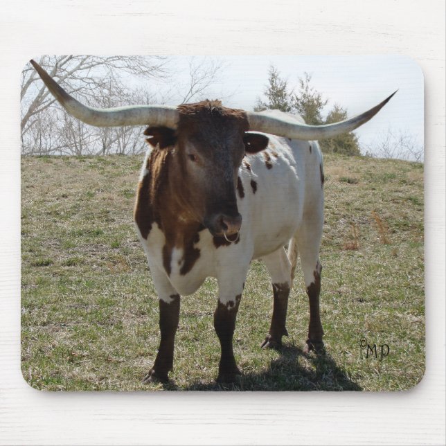 Roan Longhorn Steer- personalise if desired Mouse Pad (Front)