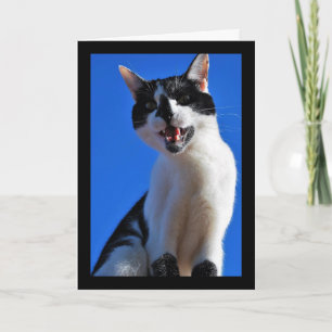 Roar of the Domestic Cat Card