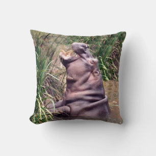 Roar Of The Hippo, Cushion