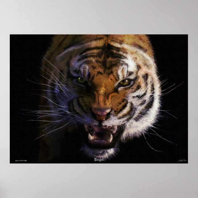 Roaring Bengal Tiger Fine Art Wildlife Poster (Front)