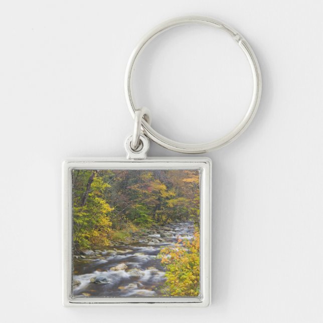 Roaring Brook in fall in Vermont's Green 2 Key Ring (Front)