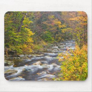 Roaring Brook in fall in Vermont's Green 2 Mouse Pad