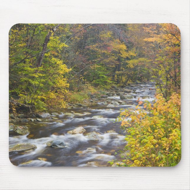 Roaring Brook in fall in Vermont's Green 2 Mouse Pad (Front)