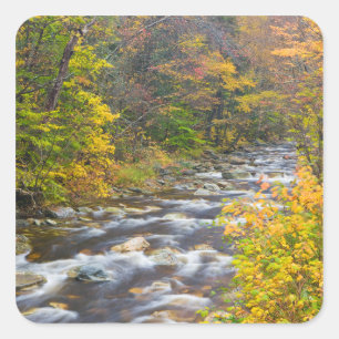 Roaring Brook in fall in Vermont's Green 2 Square Sticker