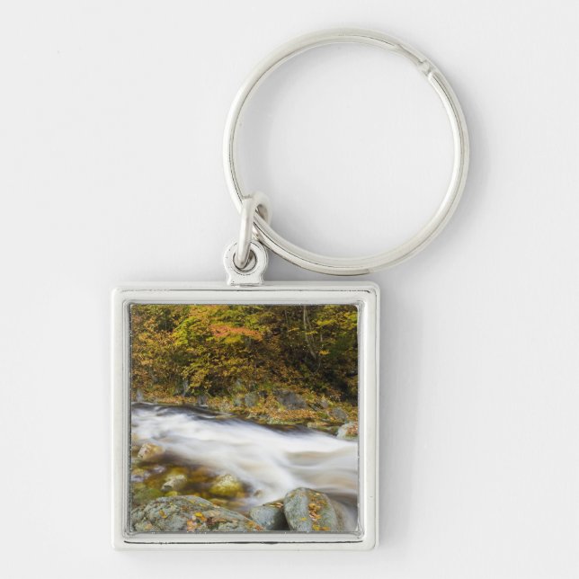 Roaring Brook in fall in Vermont's Green Key Ring (Front)